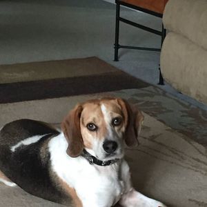 Meet your Posher, Linda